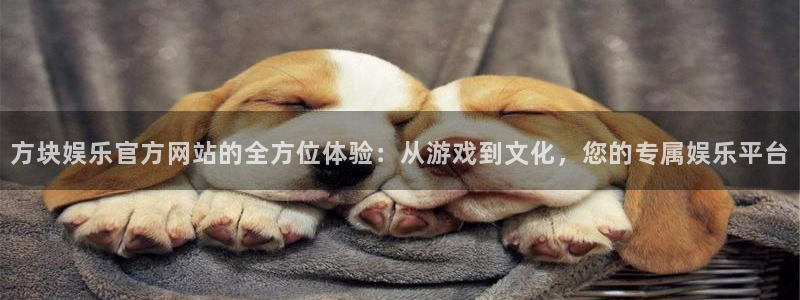pg辉达娱乐平台下载入口：方块娱乐官方网站的全方位体验：从游戏到文化，您的专属娱乐平台
