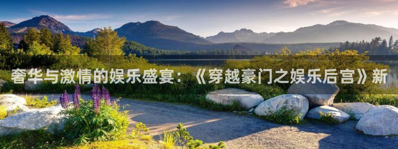 辉达娱乐游戏官网版：奢华与激情的娱乐盛宴：《穿越豪门之娱乐后宫》新