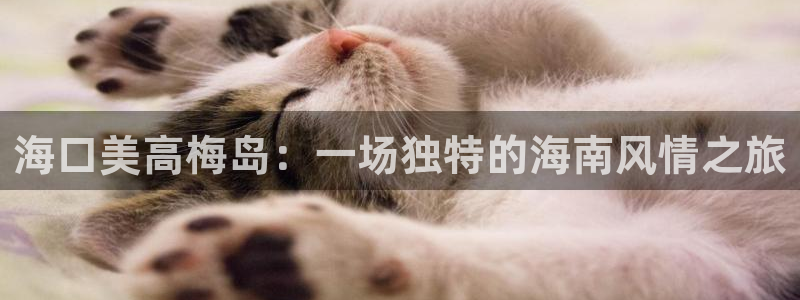 辉达娱乐.ccm官网版：海口美高梅岛：一场独特的海南风情之旅