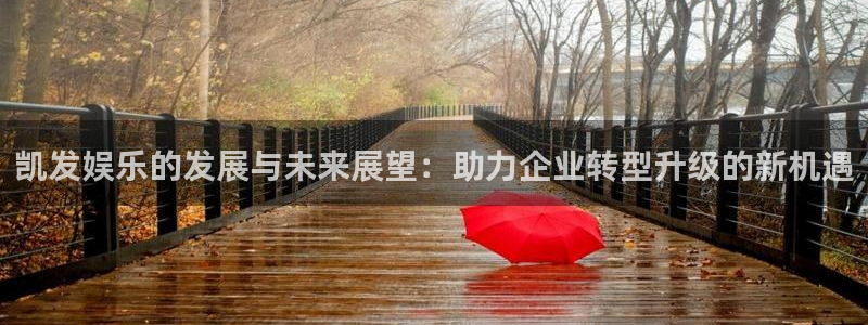 壹号官网app下载安装