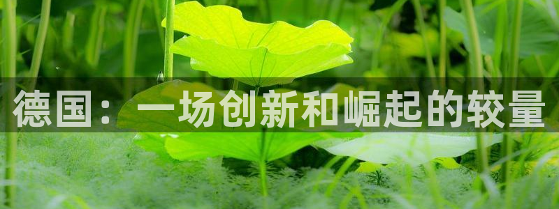 辉达登录注册入口：德国：一场创新和崛起的较量