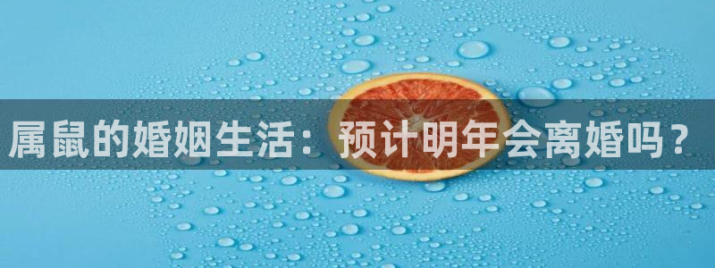辉达娱乐app官网下载：属鼠的婚姻生活：预计明年会离婚吗？