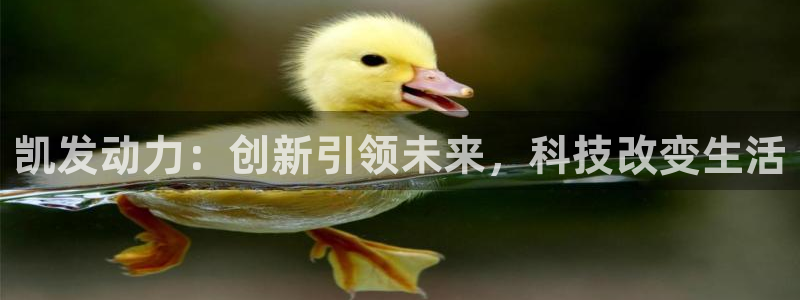 辉达娱乐网站：凯发动力：创新引领未来，科技改变生活