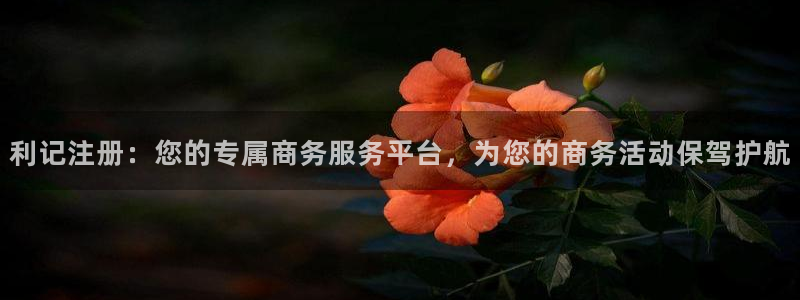 辉达娱乐平台：利记注册：您的专属商务服务平台，为您的商务活动保驾护航