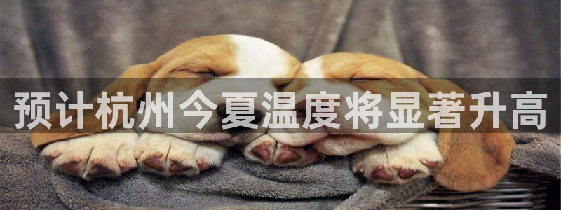辉达娱乐网站：预计杭州今夏温度将显著升高