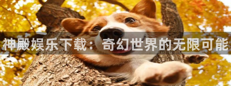 辉达娱乐网页版：神殿娱乐下载：奇幻世界的无限可能