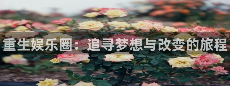 壹号电子娱乐app：重生娱乐圈：追寻梦想与改变的旅程