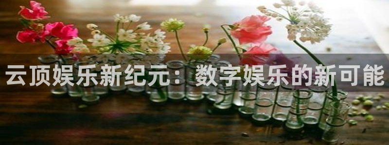壹号app下载官方网站：云顶娱乐新纪元：数字娱乐的新可能