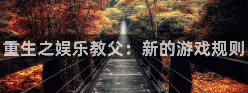 辉达娱乐平台app下载安装：重生之娱乐教父：新的游戏规则