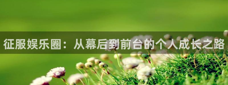 辉达娱乐app：征服娱乐圈：从幕后到前台的个人成长之路