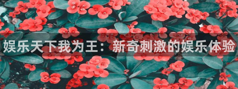 辉达平台官网：娱乐天下我为王：新奇刺激的娱乐体验