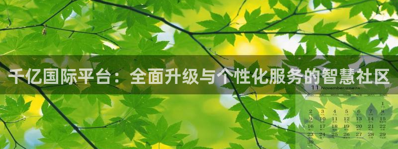 辉达娱乐加拿大app预测：千亿国际平台：全面升级与个性化服务的智慧社区