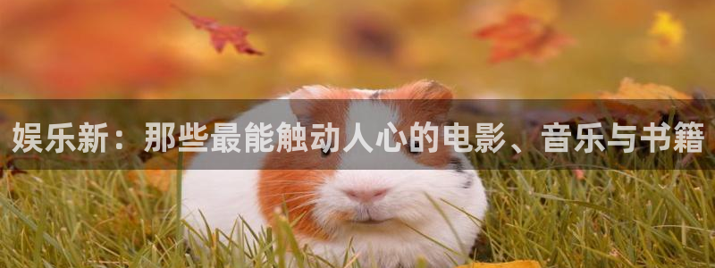 辉达娱乐app：娱乐新：那些最能触动人心的电影、音乐与书籍