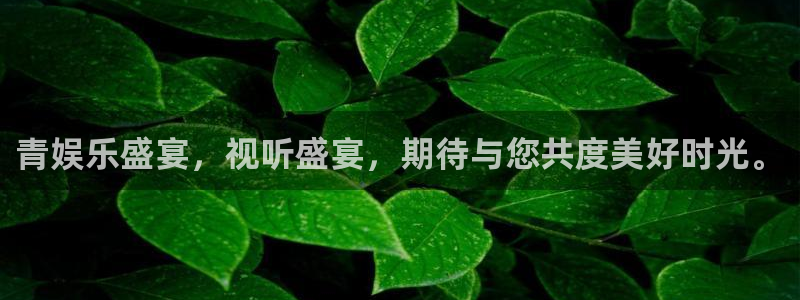 辉达娱乐平台注册：青娱乐盛宴，视听盛宴，期待与您共度美好时光。