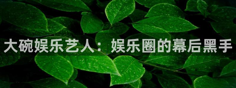 辉达娱乐平台官网版下载：大碗娱乐艺人：娱乐圈的幕后黑手