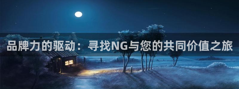 辉达娱乐app：品牌力的驱动：寻找NG与您的共同价值之旅