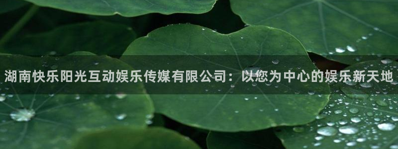辉达娱乐com：湖南快乐阳光互动娱乐传媒有限公司：以您为中心的娱乐新天地