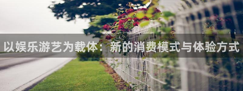 壹号app下载链接：以娱乐游艺为载体：新的消费模式与体验方式