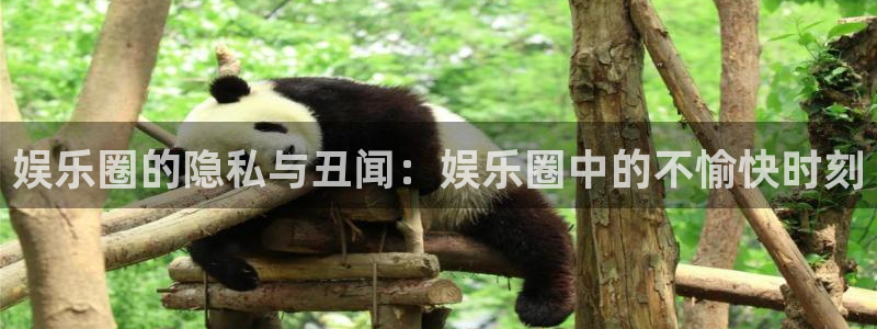 壹号大舞台28国际大舞台：娱乐圈的隐私与丑闻：娱乐圈中的不愉快时刻