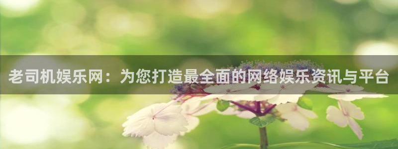 辉达娱乐ccm赏金女王：老司机娱乐网：为您打造最全面的网络娱乐资讯与平台