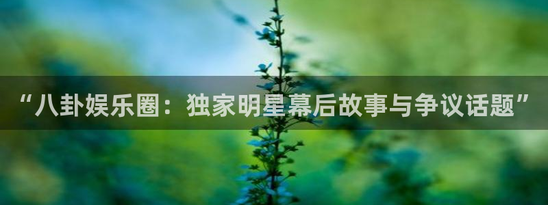 辉达娱乐哪个游戏好爆：“八卦娱乐圈：独家明星幕后故事与争议话题”