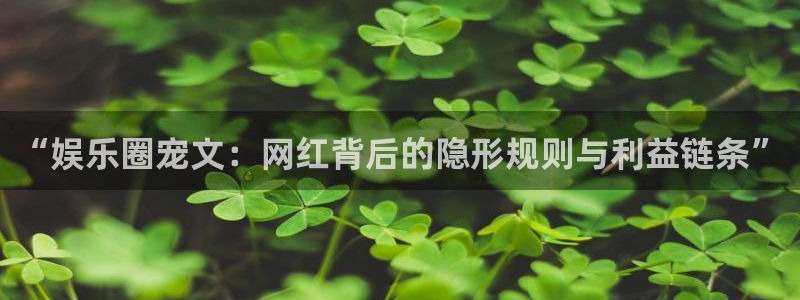 辉达娱乐下载入口：“娱乐圈宠文：网红背后的隐形规则与利益链条”