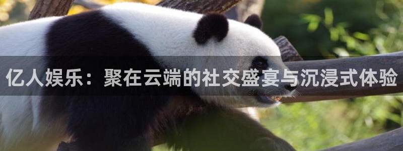 辉达娱乐那个爆率高：亿人娱乐：聚在云端的社交盛宴与沉浸式体验