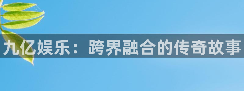 辉达娱乐加拿大：九亿娱乐：跨界融合的传奇故事