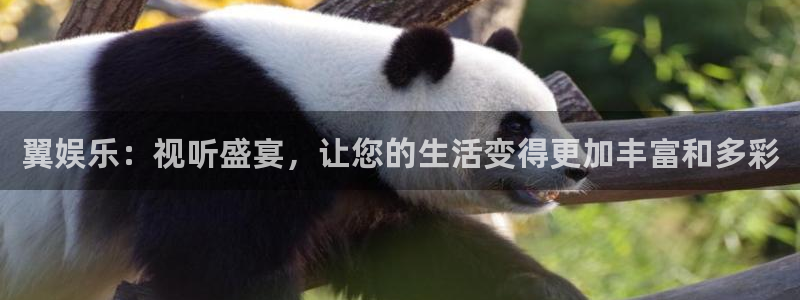 辉达娱乐在线预测：翼娱乐：视听盛宴，让您的生活变得更加丰富和多彩