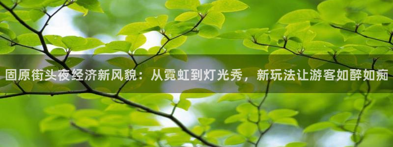 辉达娱乐app下载：固原街头夜经济新风貌：从霓虹到灯光秀，新玩法让游客如醉如痴
