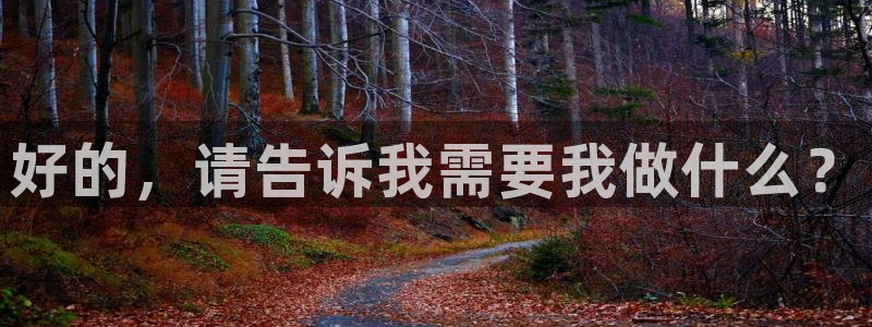 辉达娱乐官网下载：好的，请告诉我需要我做什么？