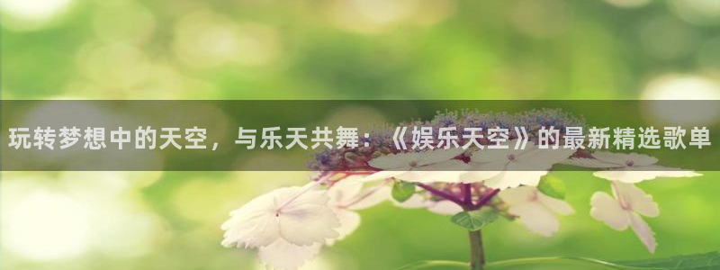 辉达娱乐电玩网官网入口：玩转梦想中的天空，与乐天共舞：《娱乐天空》的最新精选歌单