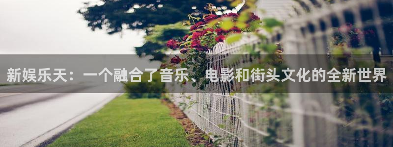 辉达娱乐.ccm