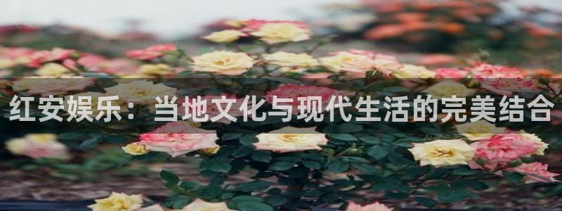 辉达娱乐预测在线预测：红安娱乐：当地文化与现代生活的完美结合
