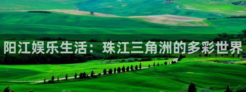 辉达娱乐.ccm苹果版：阳江娱乐生活：珠江三角洲的多彩世界