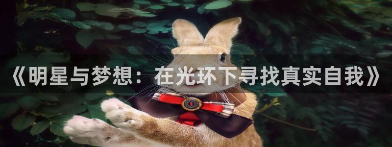 辉达娱乐网页版：《明星与梦想：在光环下寻找真实自我》
