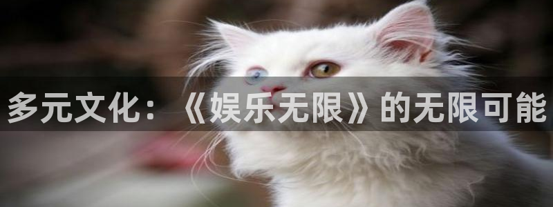 辉达娱乐app下载地址：多元文化：《娱乐无限》的无限可能