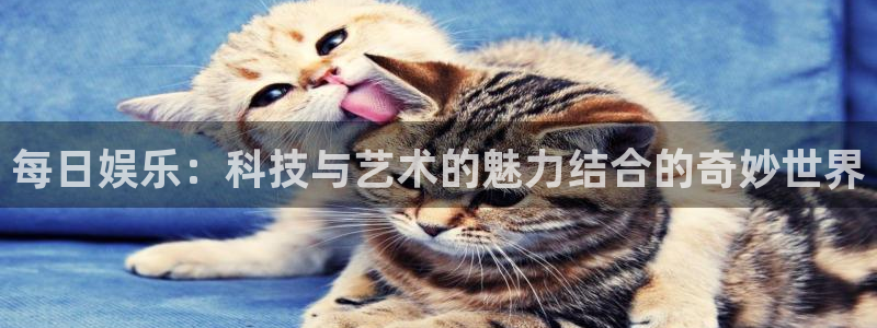 辉达娱乐注册：每日娱乐：科技与艺术的魅力结合的奇妙世界