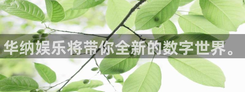 辉达平台代理：华纳娱乐将带你全新的数字世界。