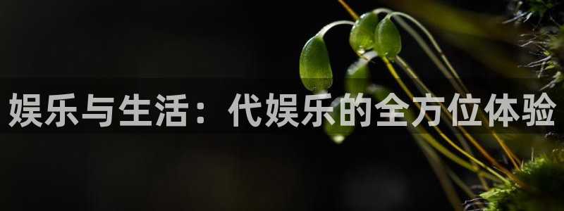 辉达娱乐官方网站下载：娱乐与生活：代娱乐的全方位体验