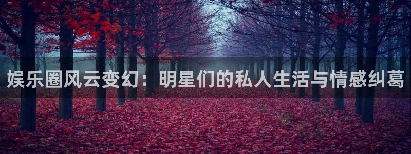 辉达娱乐科技赋能,让平台更有趣：娱乐圈风云变幻：明星们的私人生活与情感纠葛