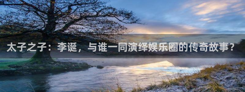 辉达娱乐平台官网入口：太子之子：李诞，与谁一同演绎娱乐圈的传奇故事？