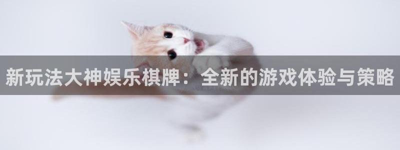 辉达娱乐pg：新玩法大神娱乐棋牌：全新的游戏体验与策略