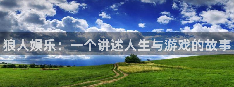 辉达娱乐平台官方入口下载：狼人娱乐：一个讲述人生与游戏的故事