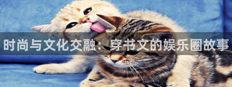 辉达娱乐退款怎么退：时尚与文化交融：穿书文的娱乐圈故事